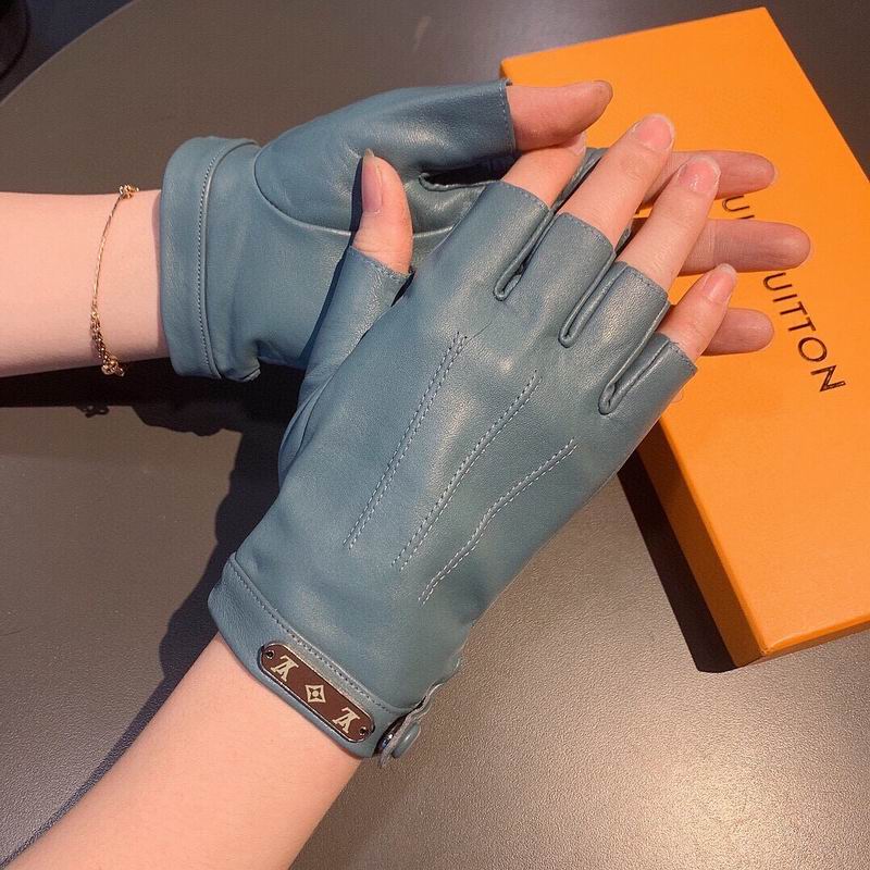 LV gloves hm35